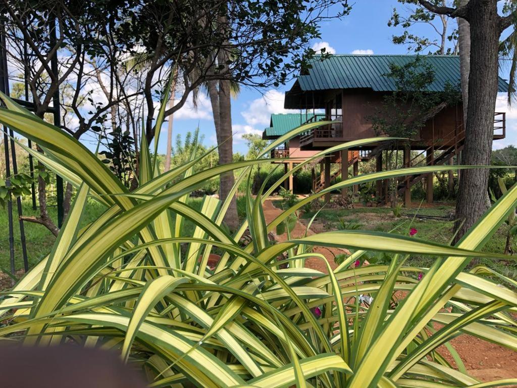 Paddy Field Hut بيت خشبي سيغيرِيا