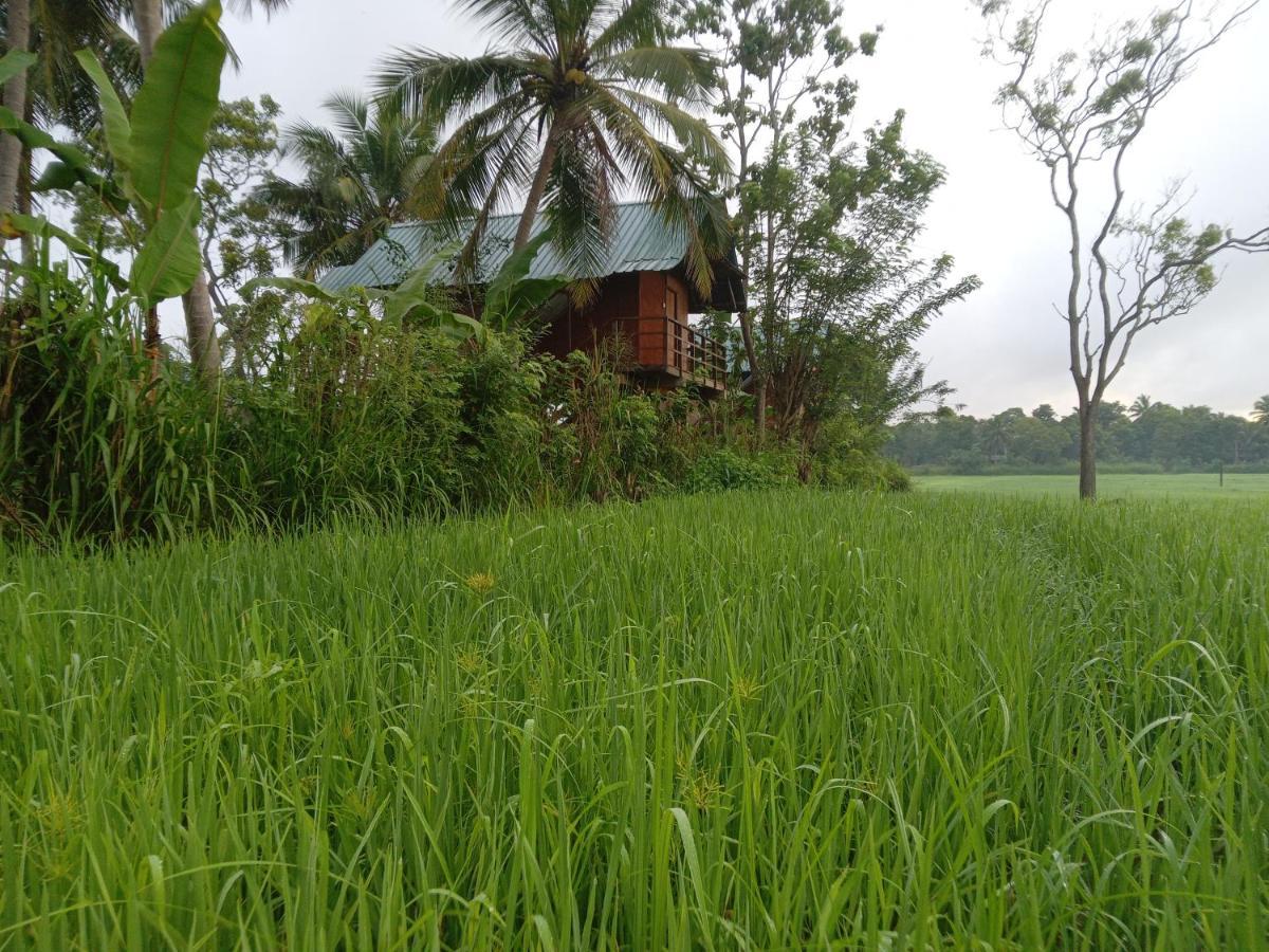 Paddy Field Hut بيت خشبي *