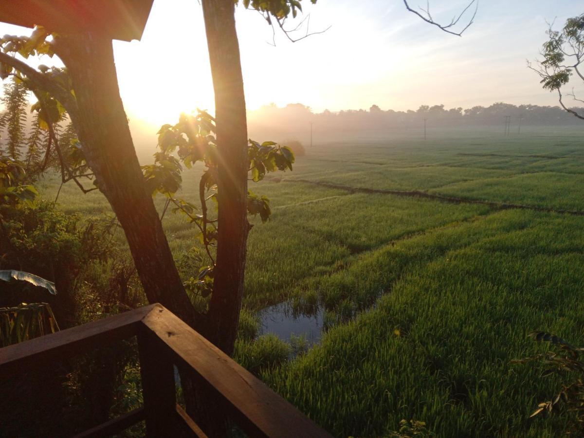 بيت خشبي Paddy Field Hut سيغيرِيا