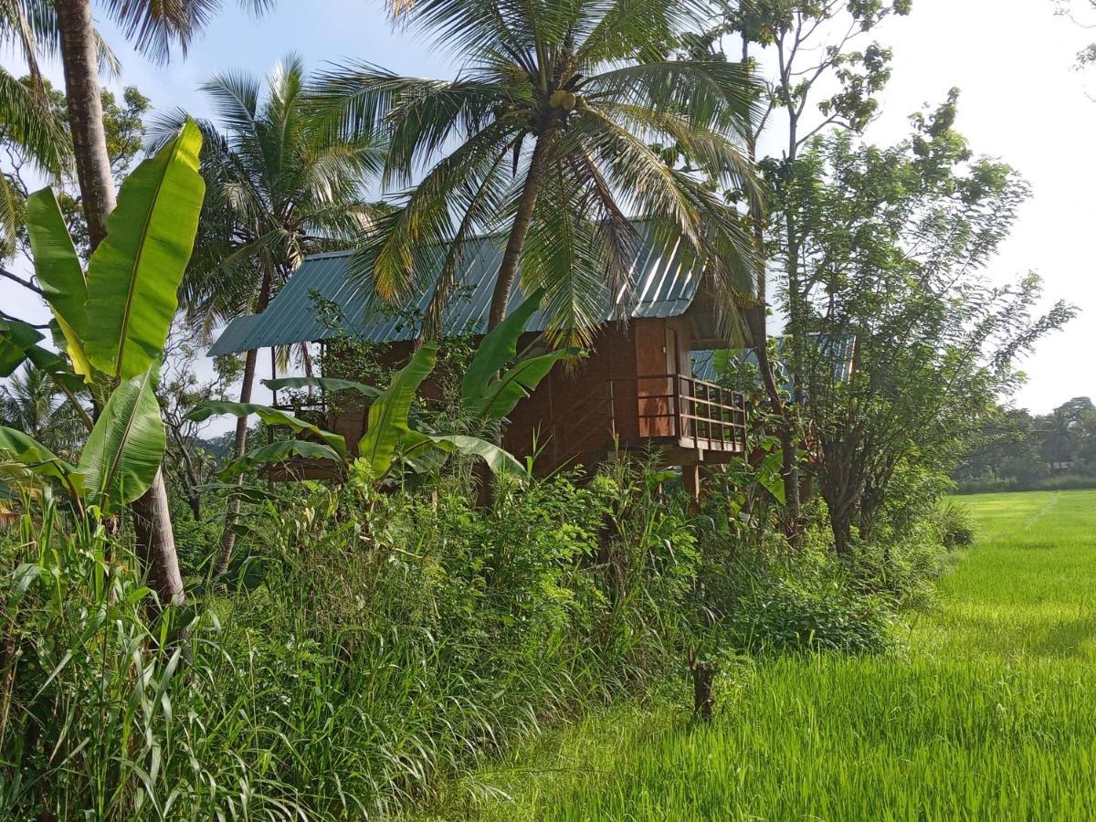 Paddy Field Hut * سيغيرِيا