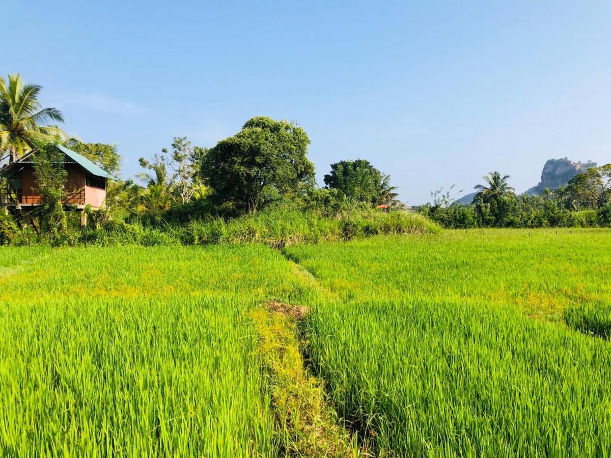 بيت خشبي Paddy Field Hut سيغيرِيا