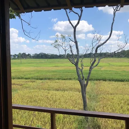 Вилла Sigiriya Paddy Field Hut Экстерьер фото