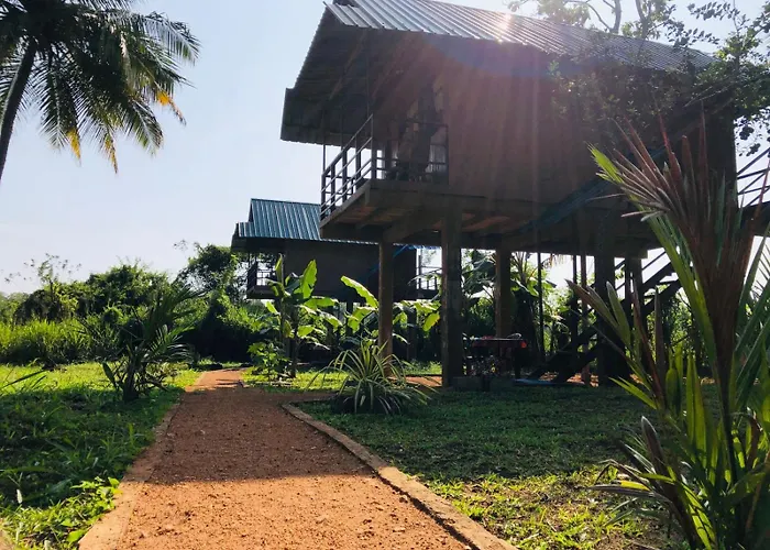 Sigiriya Paddy Field Hut