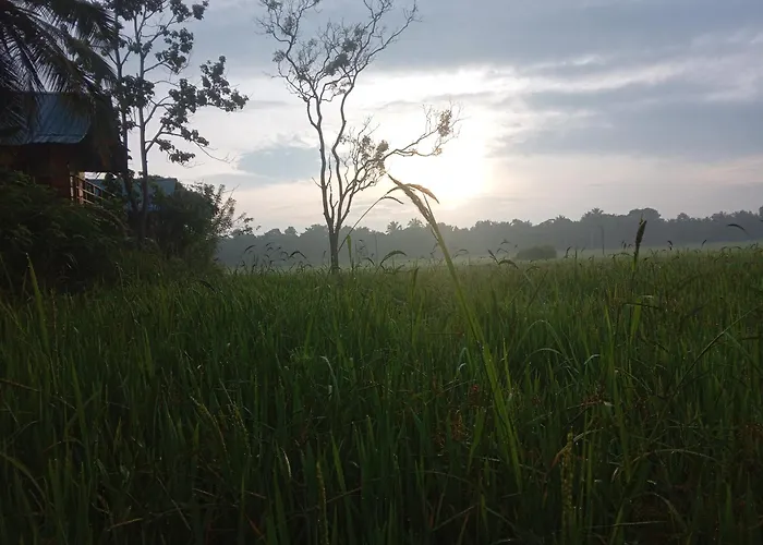 Sigiriya Paddy Field Hut