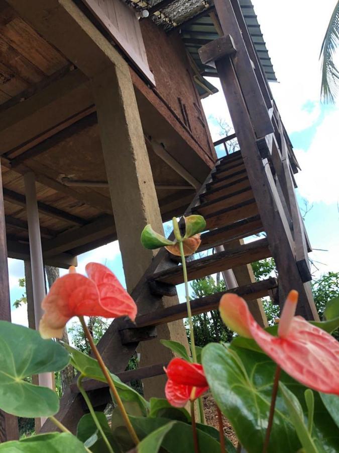 Paddy Field Hut Lodge *