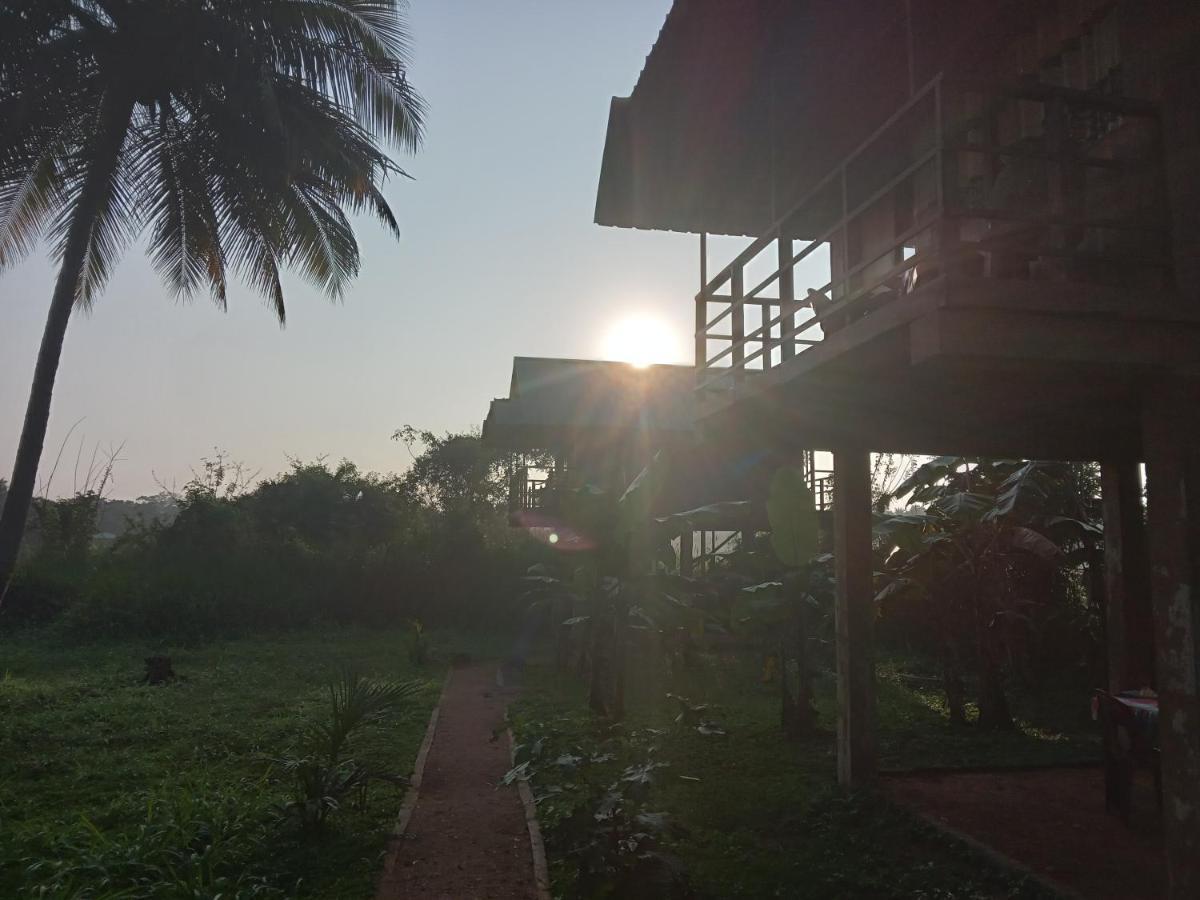 Paddy Field Hut Lodge *