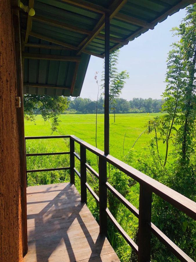 Paddy Field Hut * Sigiriya